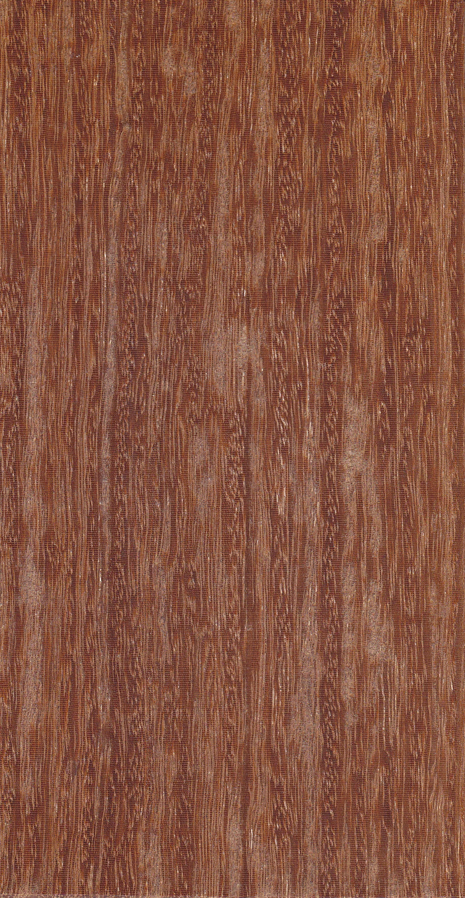Amostra real de Cumaru, com textura castanha e veios finos próximos entre si.
