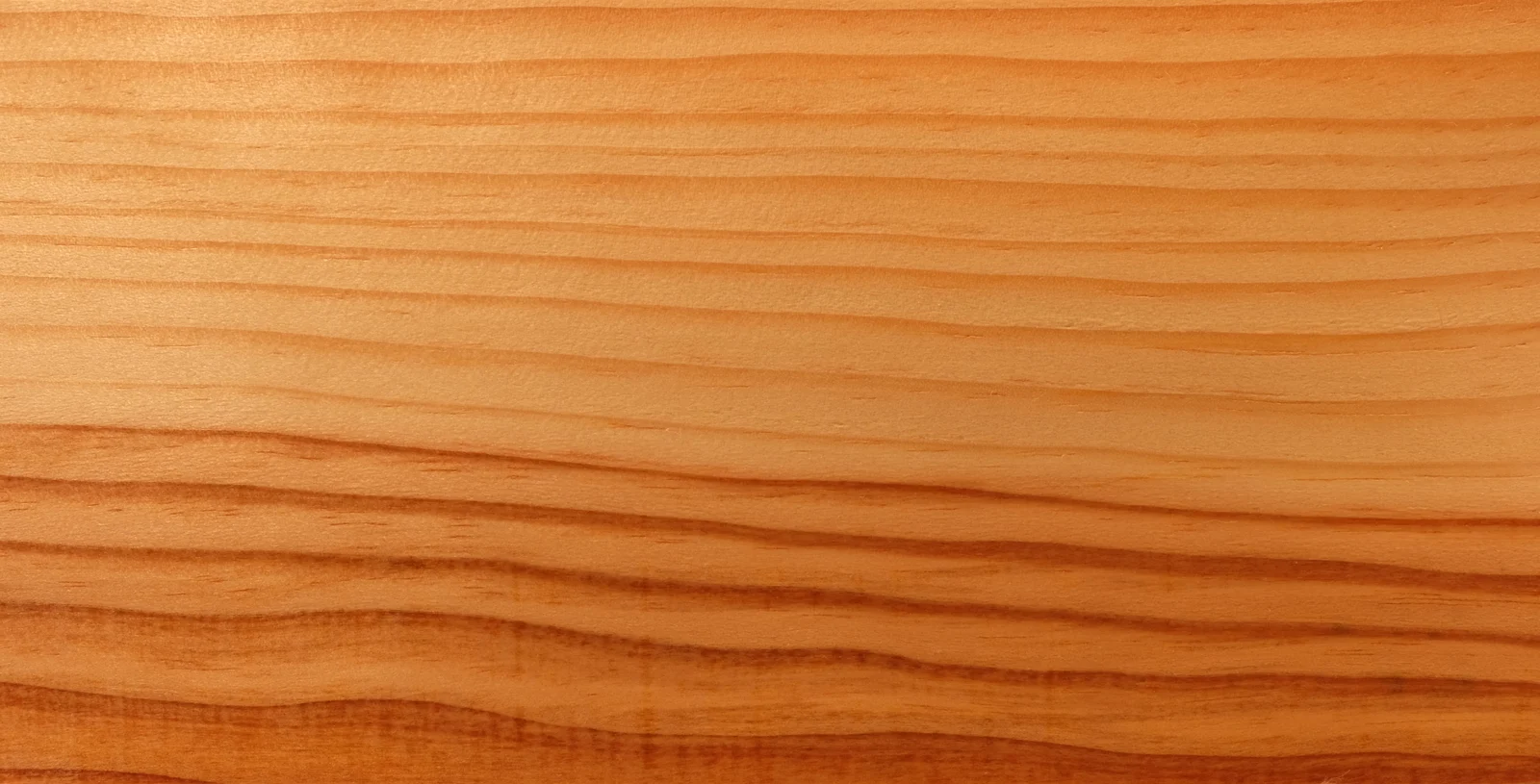 Lâmina real de Pinus com aplicação de óleo, mostrando faixas claras e veios mais escuros.